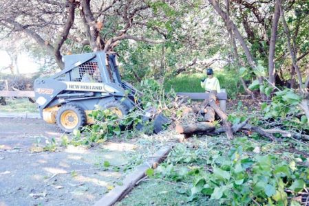 Kanaha closed to remove illegal encampments